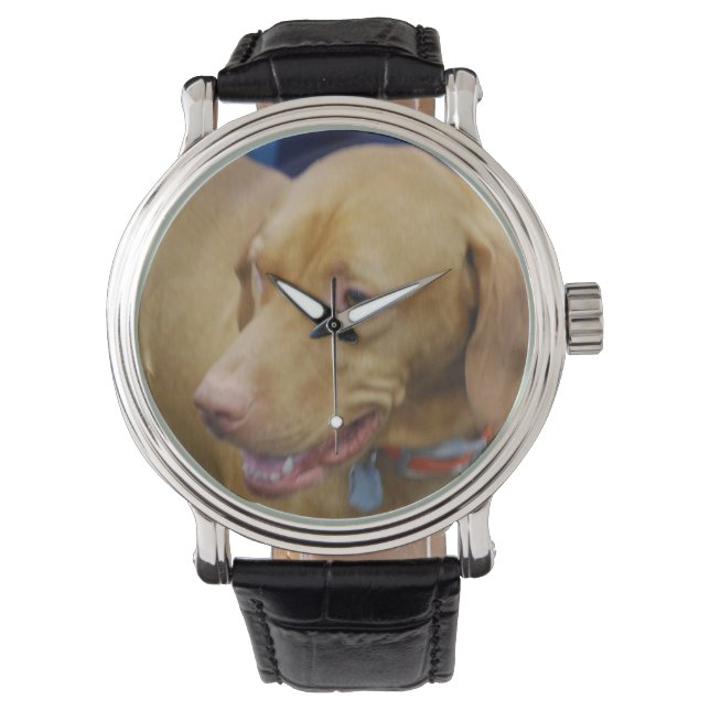 Montre Chien Vizsla (devant)