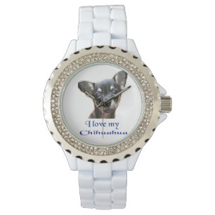 Montre Chihuahua