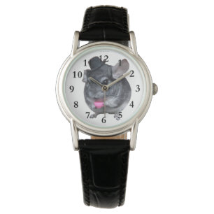 Montre Chinchilla avec le casquette supérieur tenant la