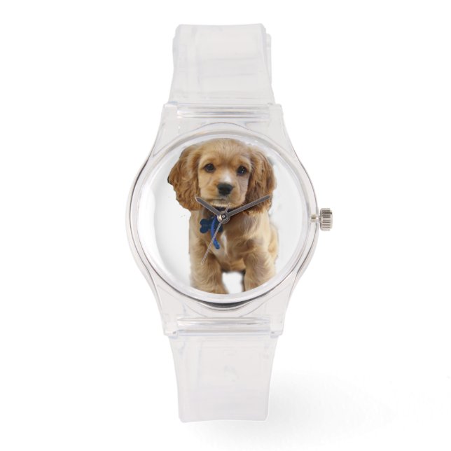 Montre chiot cocker spaniel à surveiller (Recto)