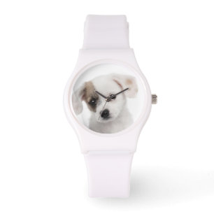 Montre Chiot croisé de race (2 mois)