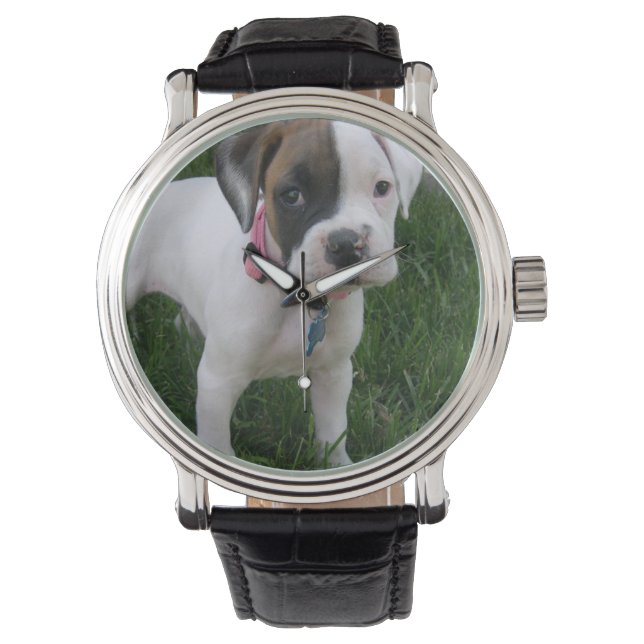 Montre Chiot de boîte blanche (devant)