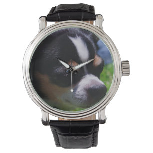 Montre Chiot de chiwawa
