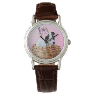 Montre Chiot Du Staffordshire Dans Un Panier,