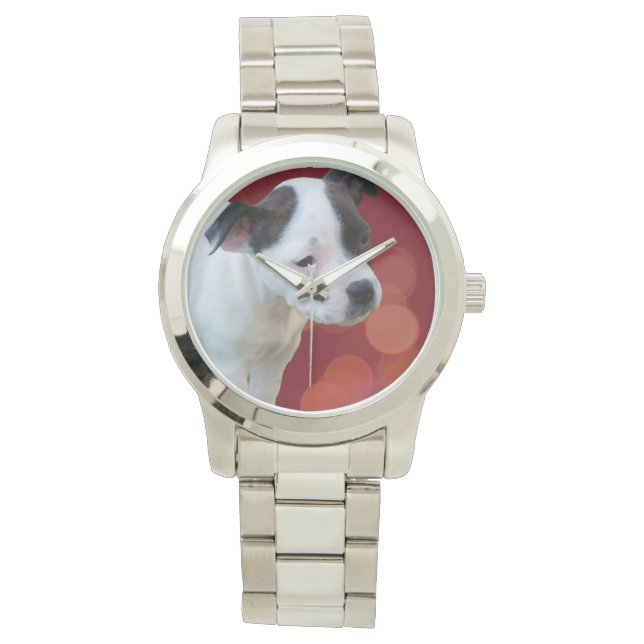 Montre Chiot Terrier Noir Et Blanc Du Staffordshire (devant)