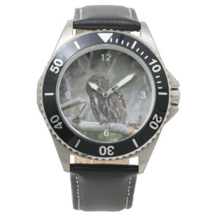 Montre Chouette pygmée du Nord