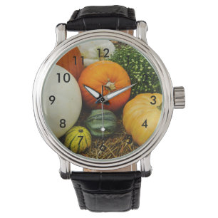 Montre Citrouille Et Gourdes