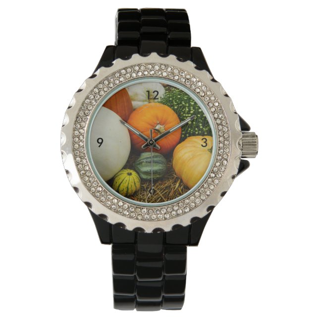 Montre Citrouille Et Gourdes (devant)