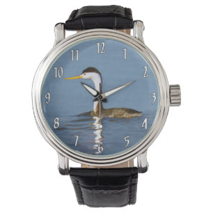 Montre Clark's Grebe Painting - Art d'origine des oiseaux