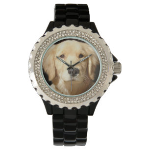 Montre Closeudo de Golden Retriever