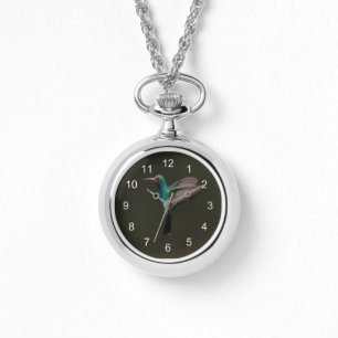 Montre Colibri à bec large en vol