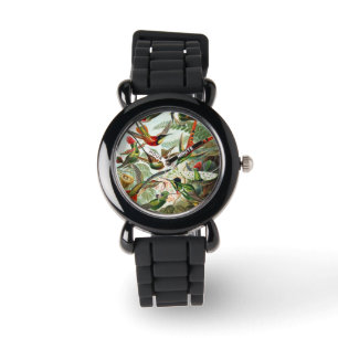 Montre Colibri par Ernst Haeckel