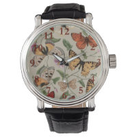 Collection de la papillon Moth Nature Dessin