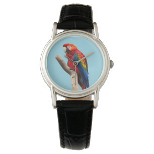 Montre Colorful Parrot Portrait