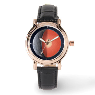 Montre Comment Une Planète Rocheuse Se Forme.