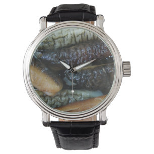 Montre Concombre de mer ... Nourriture du marché du Yaowa