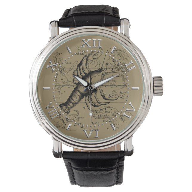 Montre Constellation du cancer par Hevelius vers 1690 Cad (devant)