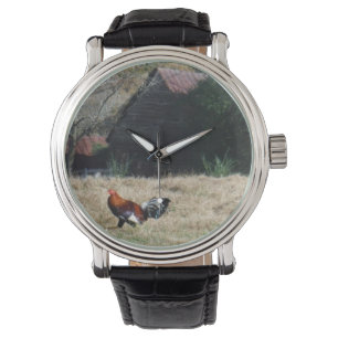 Montre Coq à la ferme Photo de Sandy Closs.