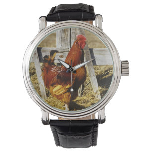 Montre Coq Rhode Island Red