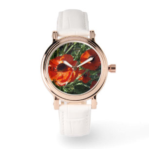 Montre Coquelicots Rouges Poussant Sur Une Plante,