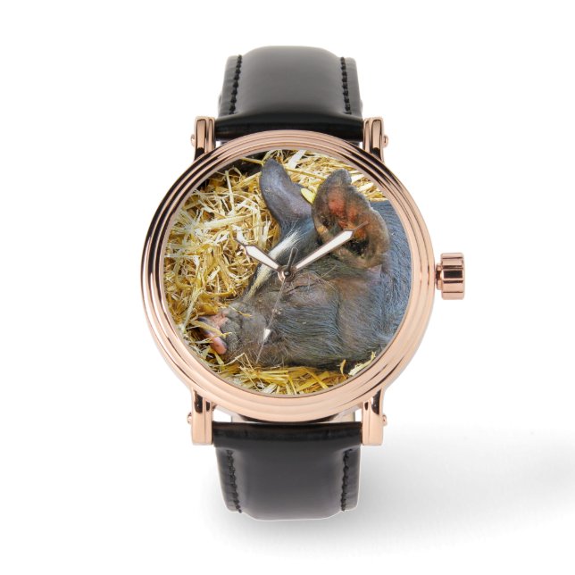MONTRE COUPER (Recto)