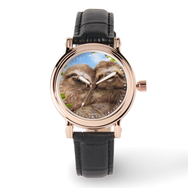 Montre Couple de paresseux (Recto)