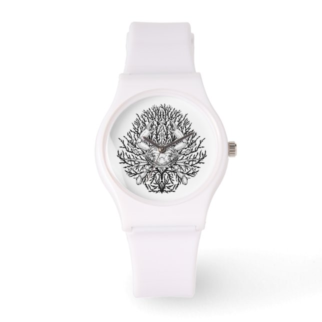 Montre Crabe (Recto)