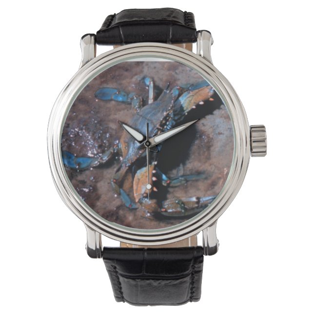 Montre Crabe bleu du Maryland (devant)
