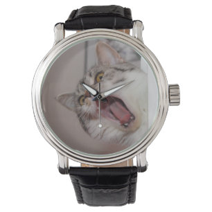 Montre Criant British Shorthair