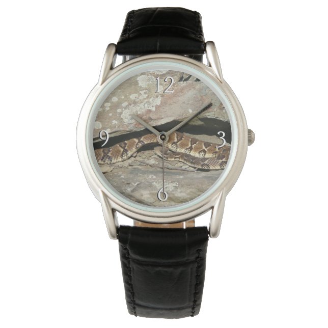 Montre Crotale dans le parc national de Shenandoah (devant)
