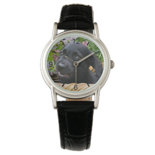 Montre Cute Black Labrador Retriever Dog Puppy