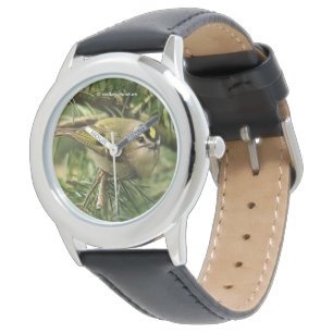 Montre Cute Kinglet Songbird Causes Stir in the Fir