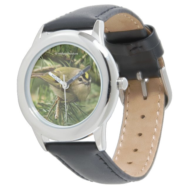 Montre Cute Kinglet Songbird Causes Stir in the Fir (Incliné)