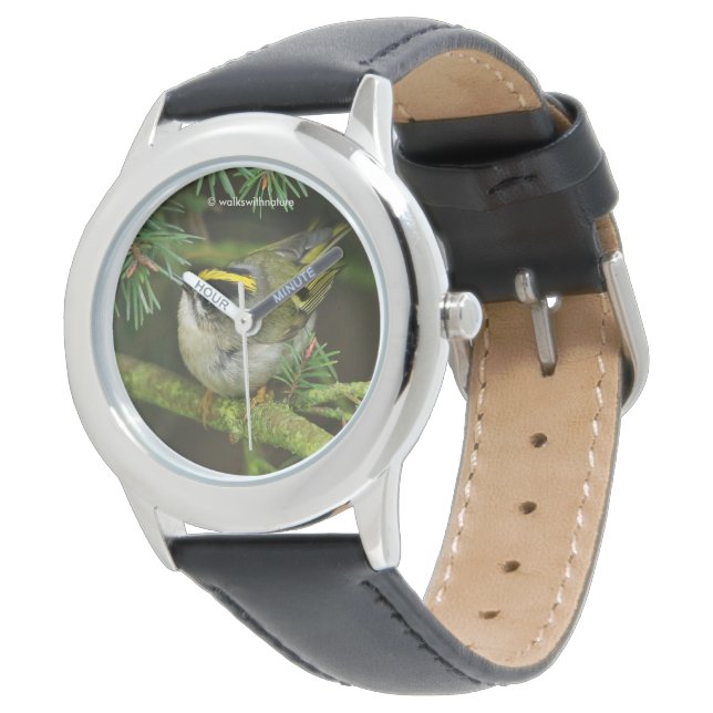 Montre Cute Kinglet Songbird Causes Stir in the Fir (Incliné)
