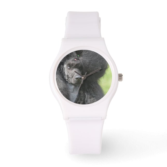 Montre Cute Poodle noir (Recto)