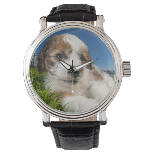 Montre Cute puppy dog (devant)