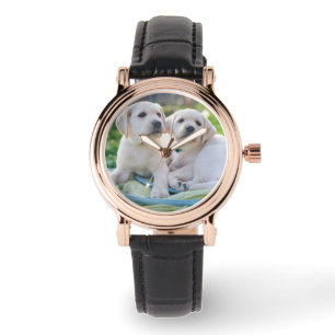 Montre Cutest Baby Animals   Yellow Labrador Retrievers