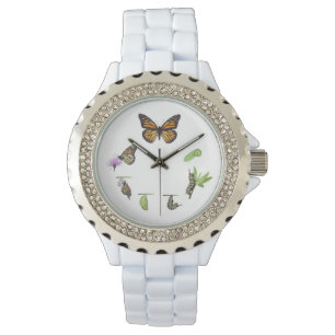 Montre Cycle de vie des papillons monarques