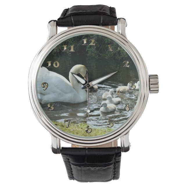 Montre Cygne blanc avec poules (devant)