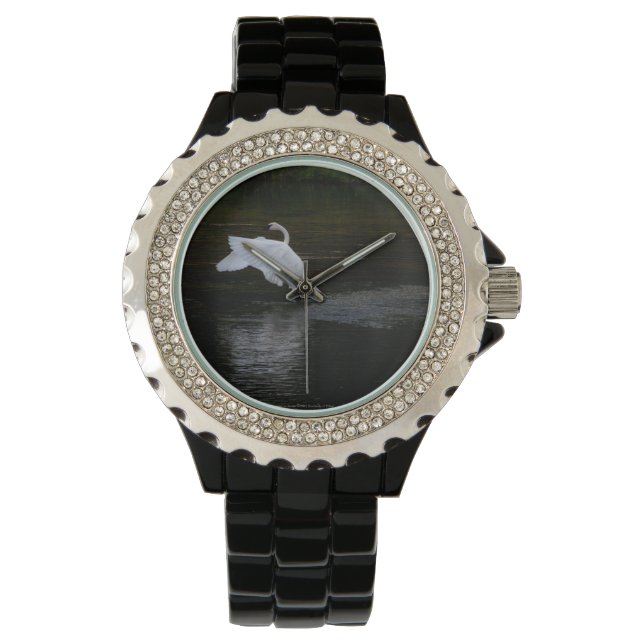 Montre Cygne trompette (devant)