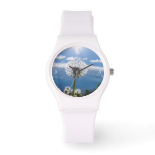 Montre Dandelion Dans La Lumière