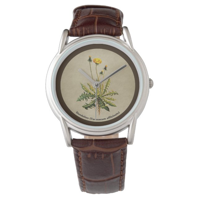 Montre Dandelion Sur Vieux Papier (devant)