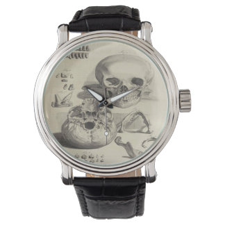 montre d'art crânien médical