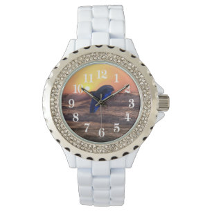 Montre Dauphin au coucher du soleil