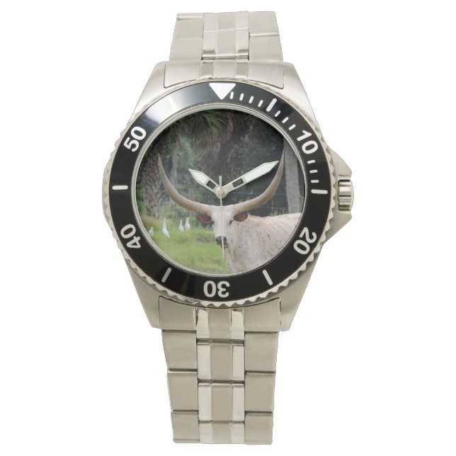 Montre de bétail Longhorn (devant)