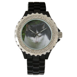 Montre de chat