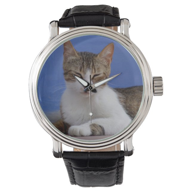 Montre de chat Tabby (devant)