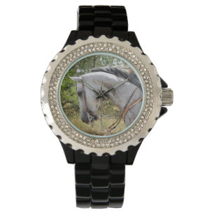 Montre de cheval de frein
