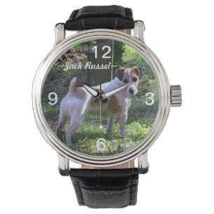 Montre de chien de Jack Russel