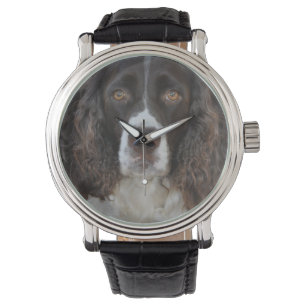 Montre de concepteur de springer spaniel